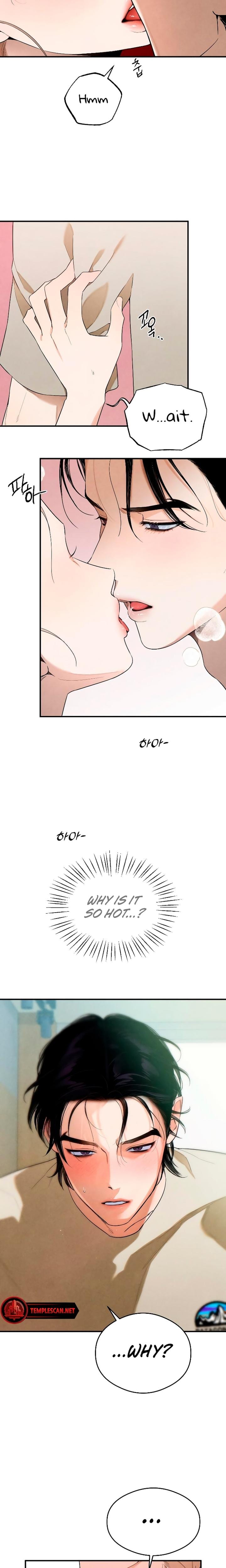 Devil's Wish Uncensored, chapter 15, page 5 of 14