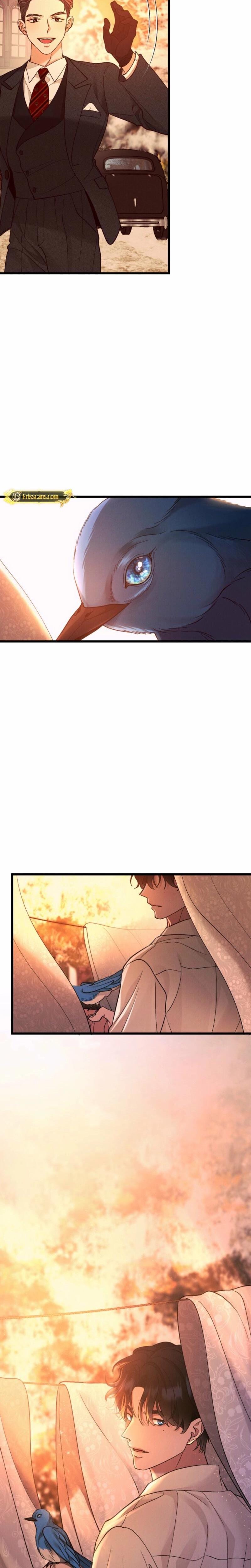 Gyeongseong Lingerie Dressing Room Uncensored, chapter 10, page 22 of 23