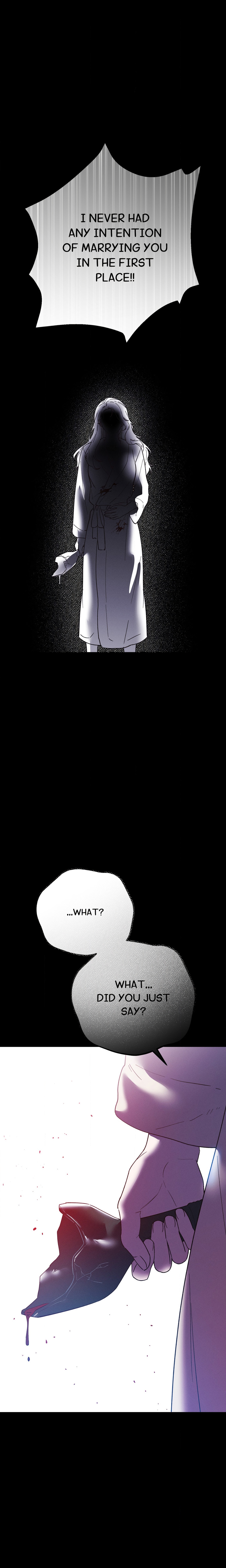 Happily Ever After (BINA) Uncensored, chapter 19, page 24 of 25