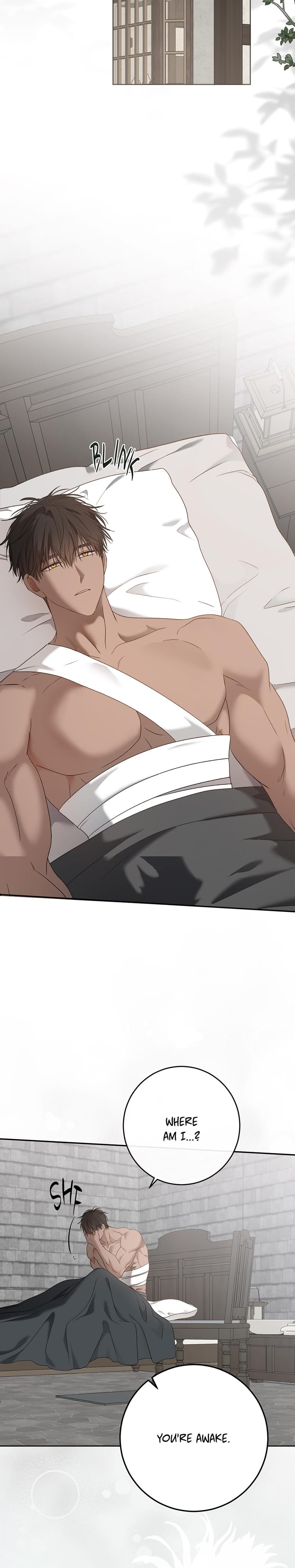 I Fell into a Reverse Harem Game! Uncensored, chapter 157, page 31 of 35