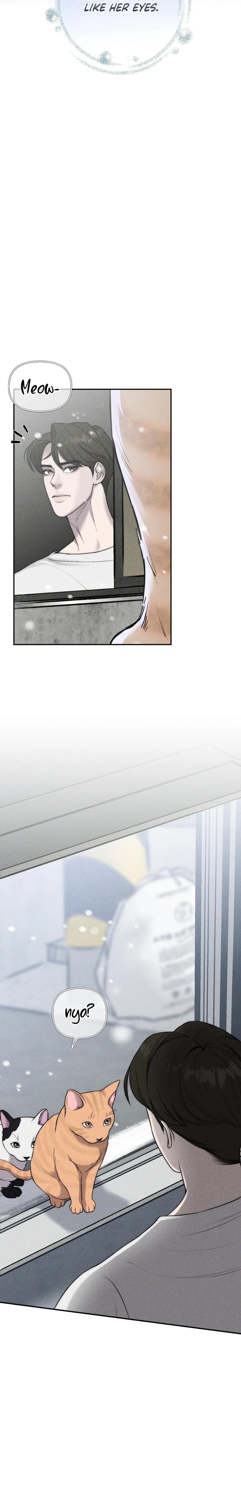 I Picked Up a Crazy Oppa Uncensored, chapter 19, page 7 of 26