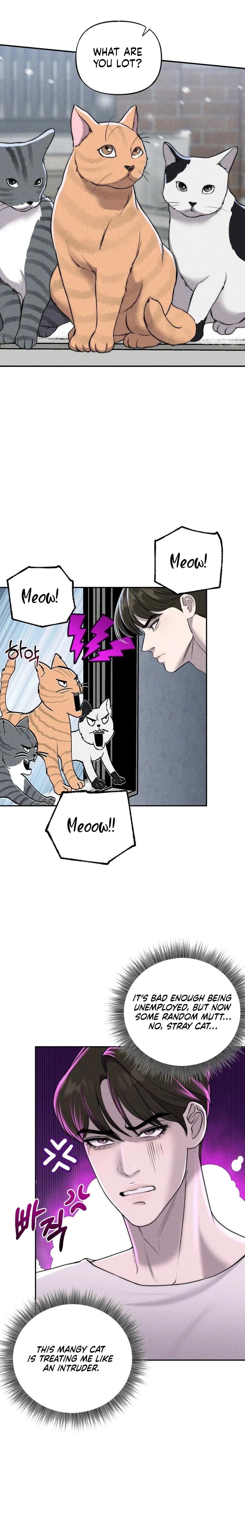 I Picked Up a Crazy Oppa Uncensored, chapter 19, page 8 of 26