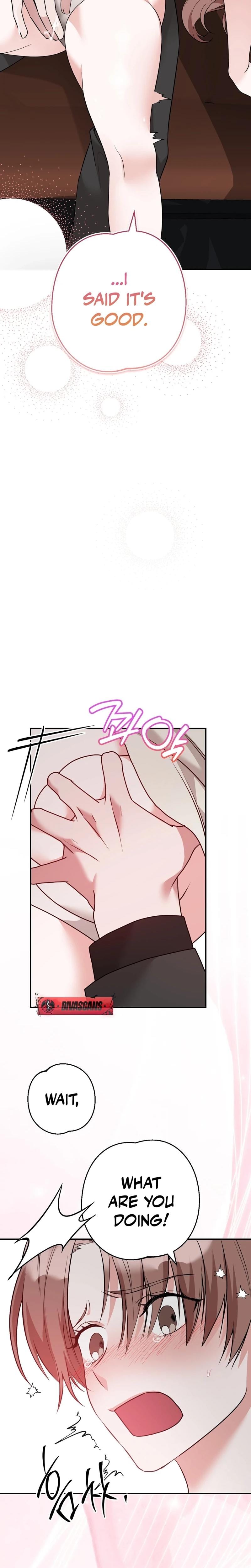 It All Ends in Marriage Uncensored, chapter 24, page 20 of 29