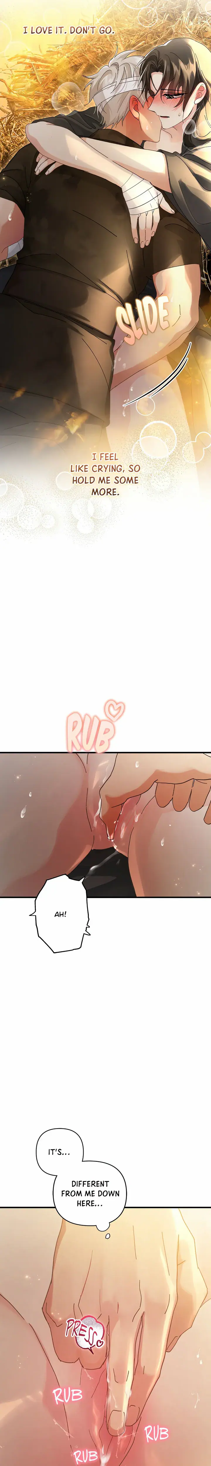 Kingdom of Innocence (Uncensored), chapter 13, page 17 of 26