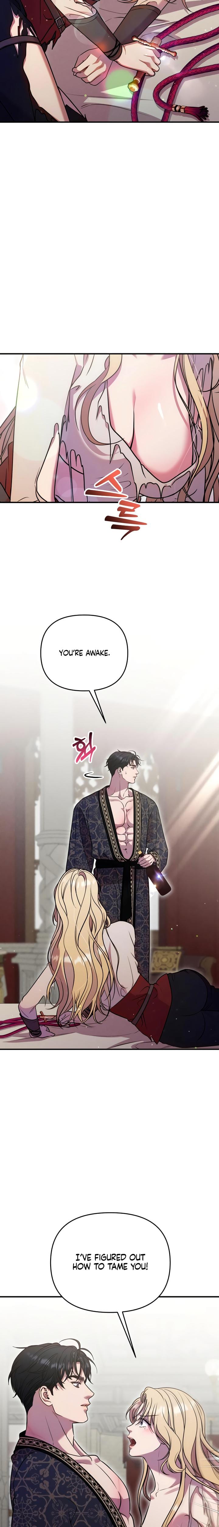 Lay Down Your Sword in the Bedroom Uncensored, chapter 11, page 14 of 25
