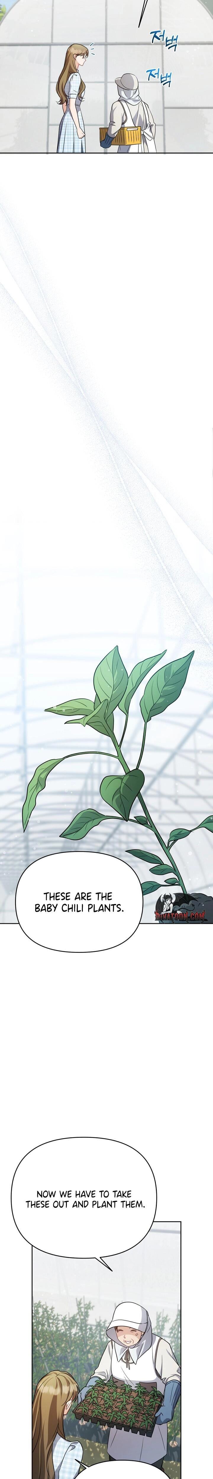 Let's Meet in the Chili Pepper Field! Uncensored, chapter 7, page 11 of 29