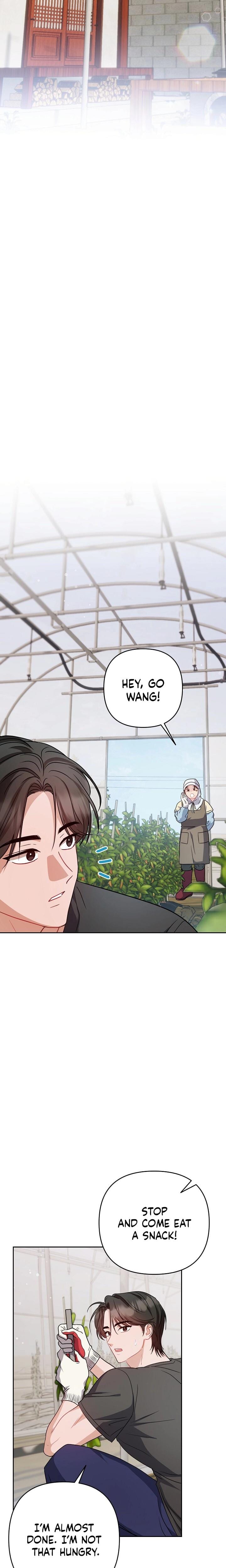 Let's Meet in the Chili Pepper Field! Uncensored, chapter 26, page 12 of 24