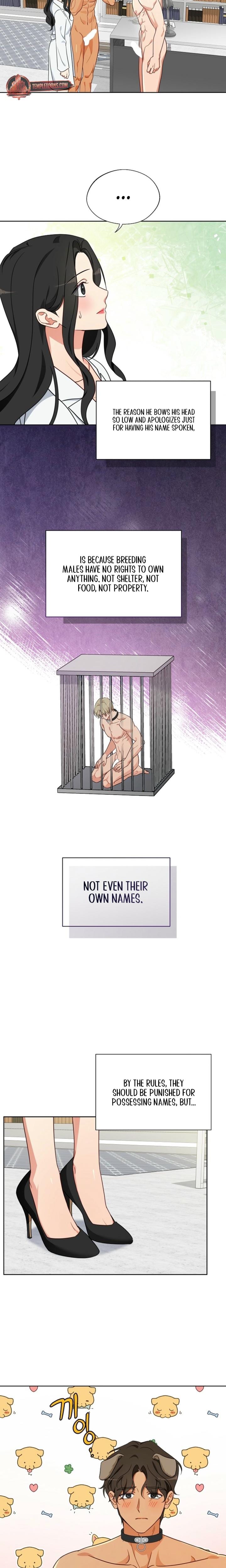Males of the Breeding Room Uncensored, chapter 6, page 9 of 17