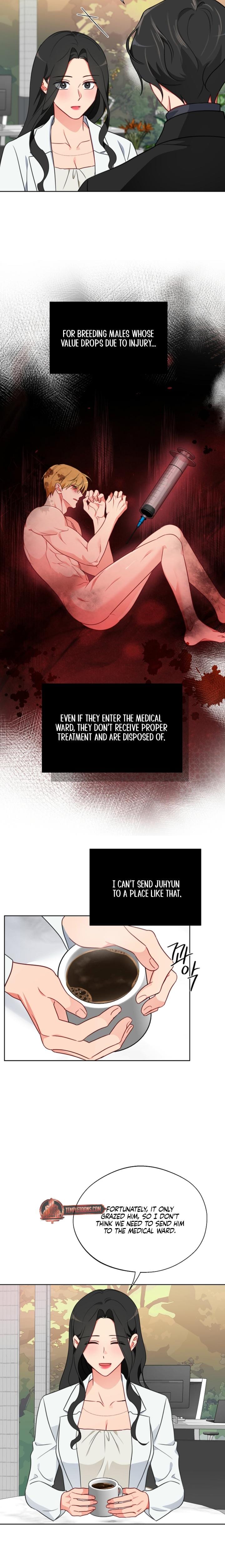 Males of the Breeding Room Uncensored, chapter 17, page 14 of 21