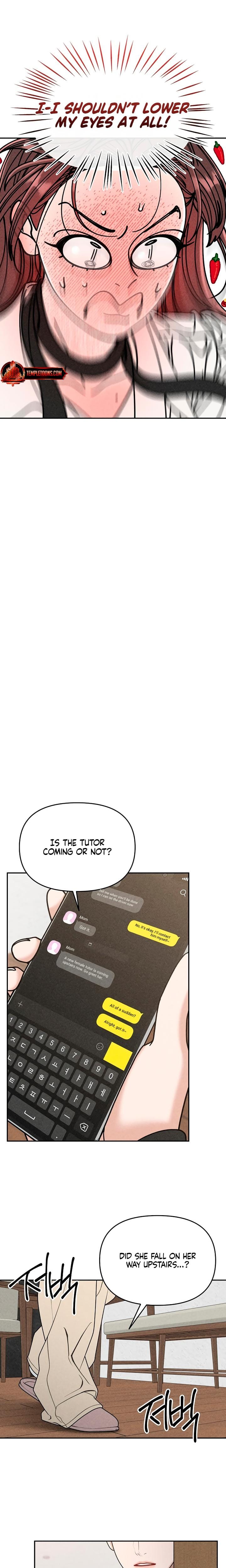 Observing My Mother's Friend's Son Uncensored, chapter 1, page 29 of 31