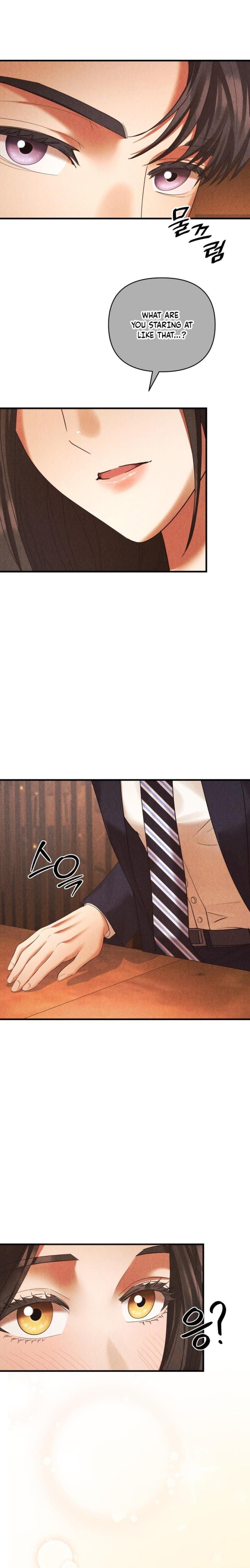 Office Sex Partners Uncensored, chapter 11, page 27 of 28