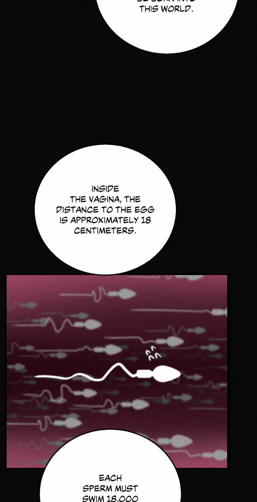 Seniors of Class 5 Uncensored, chapter 76, page 26 of 105