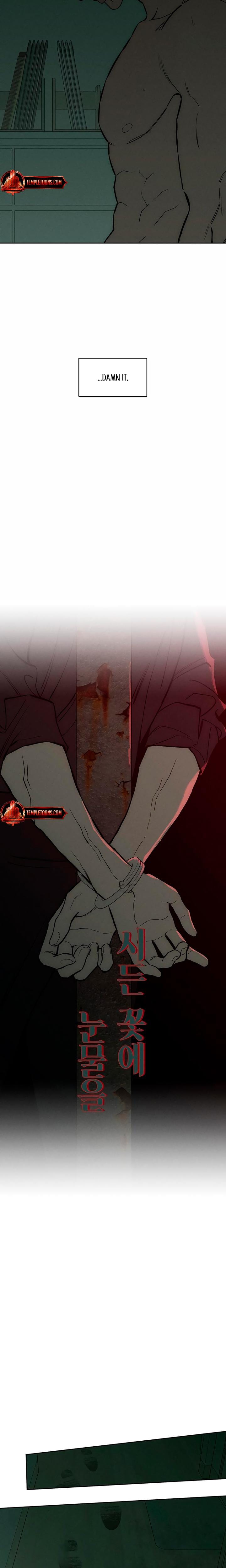Tears on a Withered Flowers Uncensored, chapter 59, page 15 of 31