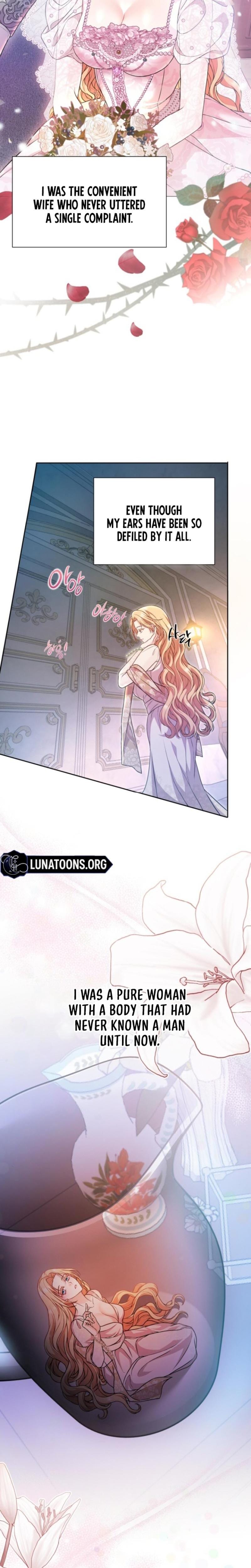 The Countess's Secret Uncensored, chapter 1, page 20 of 26