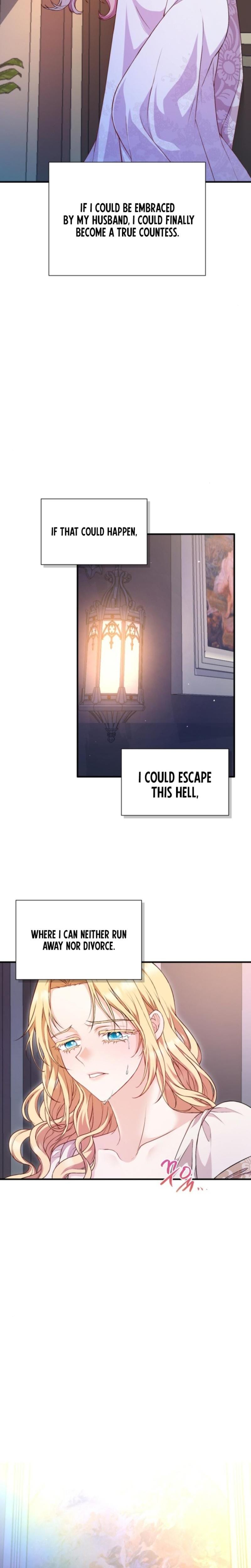 The Countess's Secret Uncensored, chapter 1, page 25 of 26