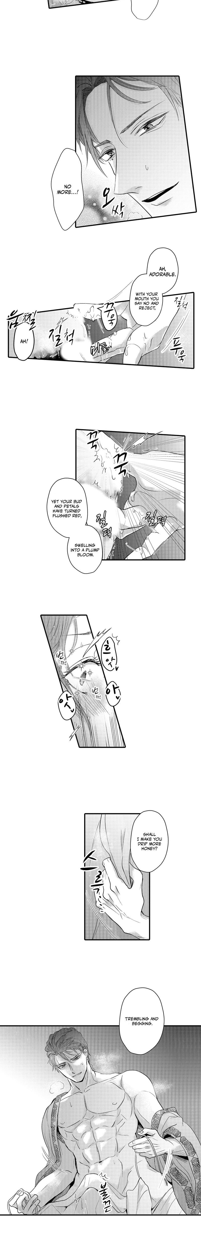 The Merciless Emperor's Pet Consort Uncensored, chapter 3, page 5 of 9