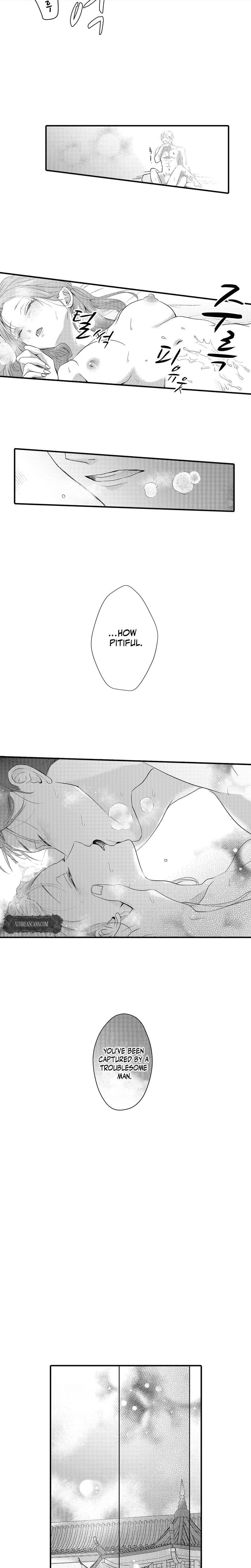 The Merciless Emperor's Pet Consort Uncensored, chapter 4, page 6 of 9